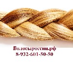 Салоны красоты объявление но. 1046229: Дорого покупаем волосы в Сургуте!