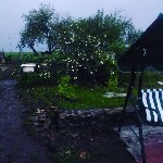 Продам дом объявление но. 1050017: Продается благоустроенный дом 84 кв.м на участке 80, соток в Белгородской области.