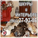 Пpодам меха - шкурки соболя, лисы, волка, норки, ондатры, белки, рыси, кролика, зайца и другую пушнину.

Абакан, ул. Озерная, 75 ...