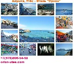 Разное объявление но. 1065755: Утес официальный сайт эллинги Санта Барбара снять жилье в Алуште