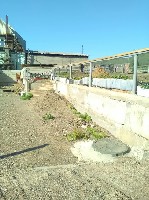 Загородная недвижимость объявление но. 1066475: Дом 70 кв.м. на участке 22 сот