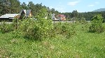 Загородная недвижимость объявление но. 1068560: Земля на Алтае.