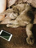 Услуги объявление но. 1071556: Вязка