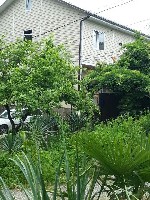 Частный дом Лиза Хаус» находится в частном секторе Вардане, в семи минутах ходьбы от берега моря. Рядом с домом магазин.
К услугам гостей уютные 2-х местные и 3-х местные комнаты. В номерах душ с гор ...