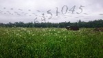 Продам участок объявление но. 1073940: Продажа участка Солнечногорский район к.п. Лесные узоры