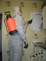 Уборка объявление но. 1080204: Дезинфекция дератизация