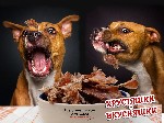 Сушеное кроличье и говяжье мясо для собак. 
По оптовым ценам в розницу! 

Идеально для аллергиков ! Белковый аппетитный прикорм для дрессуры , высокоэффективный зубочистик и вкусная игрушка для люб ...