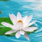 ЛУЧШИЙ МАССАЖ в Эйлате! (Viber/Whats App). Это не просто техника - это мастерство видеть, слышать и чувствовать руками!!! 
Бонус - массаж, разглаживание, подтяжка кожи лица без растягивания! Для женщ ...