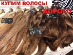 ООО СКУПКА ВОЛОС принимаем волосы во всех городах Украины.
Принимаем не окрашенные пряди русого, темно русого, и светло русого цвета
от 40 см. Цена зависит от длины качества густоты кончиков.
Волос ...