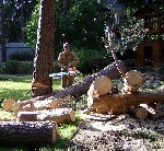 Уборка объявление но. 1101655: Удаление и обрезка деревьев