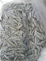 ООО "Рыбхоз Ясени" предлагает тюльку см на корм животным в брикетах по 20 кг. по цене от 20 рублей. ...