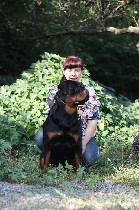 Питомник ротвейлеров " OKSI DOG" приглашаем на профессиональную дрессировку собак всех пород в г.Шахты . Гарантия,качество! Вязки,щенки ротвейлера! ...