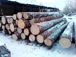 Строительные материалы объявление но. 1107551: Лес круглый (кругляк). Лиственница.