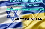 Работа за рубежом объявление но. 1114969: Легальная работа в Израиле. Работа за границей.