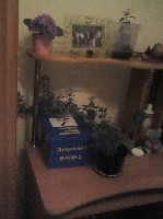 Сдам в аренду комнату объявление но. 1127222: Сдается комната Ленинском районе