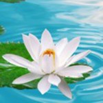 ЛУЧШИЙ МАССАЖ БАССЕЙН САУНА в Эйлате! (Viber/Whats App). Это не просто техника - это мастерство видеть, слышать и чувствовать руками!!! 
Бонус - массаж, разглаживание, подтяжка кожи лица без растягив ...