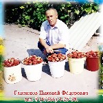 Реализую рассаду суперкрупноплодной клубники. Ягода достигает веса 180 грамм и размера 12 см. на 10 см. Сорт холодоморозоустойчивый. На зиму не укрывается. ...