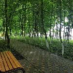 Продам квартиру объявление но. 1145766: Продажа недвижимости в ЖК "Кленовая роща"