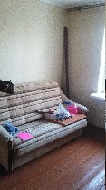 Сдам в аренду комнату в 2-комнатной квартире, ул.Щусева д.4к1 15 м, 4/9 панельный, нормальное состояние, санузел раздельный, В комнате -диван, шкаф, стол, стул, телевизор, пользоваться можно всей квар ...