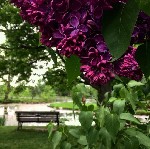 Агентства недвижимости, риэлторы объявление но. 1155651: Недвижимость в Канаде.Недвижимость в Монреале.