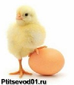 Ведётся запись на 2018г.;
цыплят;
-мясного направления
-яичного направления
-мясо-яичного направления
гусят;
индюшат;
утят;
мулард
цесарят.
Так же Вы можете приобрести сбалансированные Корма ...