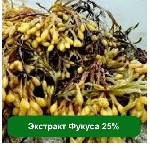 Морские экстракты - ценные источники полезных веществ, чем и объясняется их популярность в косметической индустрии. Особенно полезен фукус пузырчатый - водоросль коричневого цвета с мелкими пузырьками ...