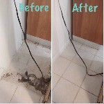 Уборка объявление но. 1177249: Клининговая компания Торонто