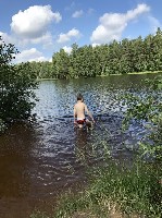 Сдам в аренду дачу, коттедж объявление но. 1185081: Сдаётся коттедж в Токсово. Посуточно.