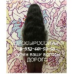 Салоны красоты объявление но. 1198376: Куплю дорого волосы в Анапе! волосыроссии.рф