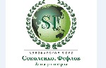 Защита по административным делам. Адвокатское бюро «Соколенко, Фефлов и партнеры» предлагает услуги Физическим лицам - взыскание долгов, защита прав потребителей, помощь при ДТП, защита чести и достои ...