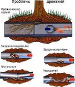 Ремонтные услуги объявление но. 1235659: Аварийная прочистка канализации Таганрог