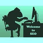 SEO поисковое органическое продвижение раскрутка сайта – это комплекс действий интернет - маркетинга, направленный на повышение позиций сайта в поисковых системах по разнообразным запросам. Профессион ...