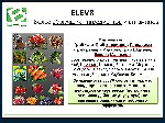 Разное объявление но. 1242615: Препарат века-Elev 8