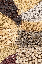 Предлагаем на посевную кампанию 2018 года семена многолетних трав
Ежа, клевер луговой, кострец, козлятник, люцерна, суданская трава, овсяница, райграс, тимофеевка, фацелия, фестулолиум, эспарцет, дон ...