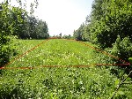 Продам участок объявление но. 1266066: Продам земельный участок 39 сот.