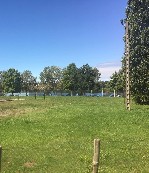 Продам участок объявление но. 1326315: 52 сотки с домом в Pontvallain