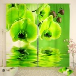 Разное объявление но. 1359142: Хотите украсить оригинально интерьер квартиры?