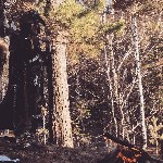 Разное объявление но. 1360798: Потомственный Сибирский маг. Приворот. Снятие порчи. Отливка воском.