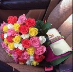 Растения объявление но. 1364743: Сеть салонов ЗаЦветами