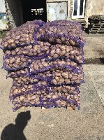 Продукты питания объявление но. 1398713: Картофель и другие овощи из Беларуси оптом.