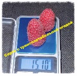 Растения объявление но. 1411173: Саженцы малины