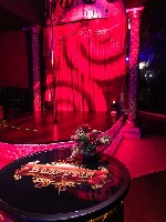 Разное объявление но. 1425706: Работа в Польше - город Жешув. Вакансии для танцовщиц POLE DАNCE