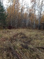 Продам участок объявление но. 1446934: Продается земельный участок площадью 12 соток, Московская обл., Одинцовский район, пос. НИИ Радио