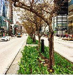 Уроки языка объявление но. 1510733: ПМЖ в Канаде.