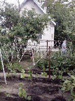 Загородная недвижимость объявление но. 1534305: Продам дачный участок на берегу разлива р.Самара под рыбацький домик. район Одинковка