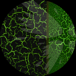 Если хочешь достичь эффекта роскоши – наноси на стены декоративную штукатурку AcmeLight Antic, если нужно «состарить» поверхность - отлично с этим справится декоративная краска AcmeLight Craquelure, а ...