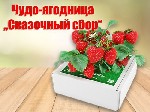 Нетрадиционная медицина объявление но. 1548331: Чудо-ягодница Сказочный сбор (149 р.)