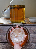 Продукты питания объявление но. 1553825: Домашний чайный гриб.