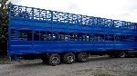 Грузовые автомобили объявление но. 1561391: Продам напівпричіп для перевезення худоби. Двоповерховий. Вся Україна