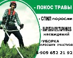 Осуществляем виды работ: 
✔ Покос и уборка травы, поросли, бурьяна, кустарников, камыша. 
- Уборка заросшего или заброшенного участка от поросли, кустов и др.зелёных насаждений. 
✔ Получить более п ...